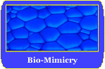 Bio-Mimicry