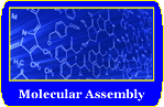 Molecular Assembly